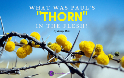 What Was Paul’s Thorn in the Flesh?