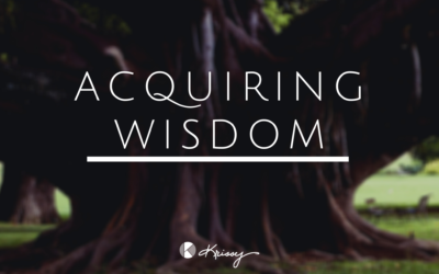 Acquiring Wisdom